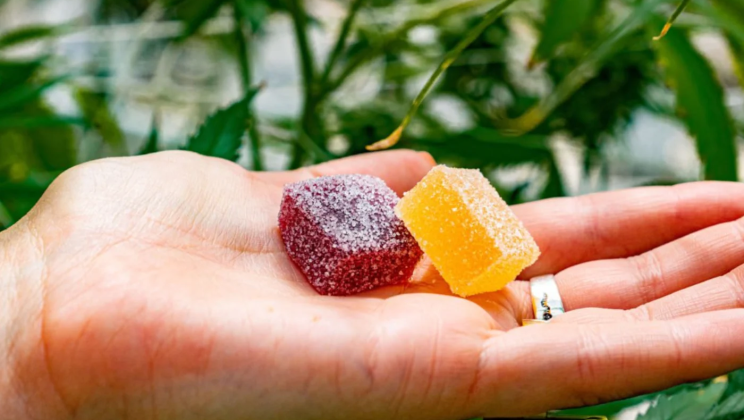 Complete Comparison of best gummies for sleep with Trusted Recommendations